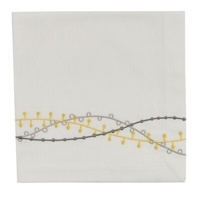 Alina Napkin