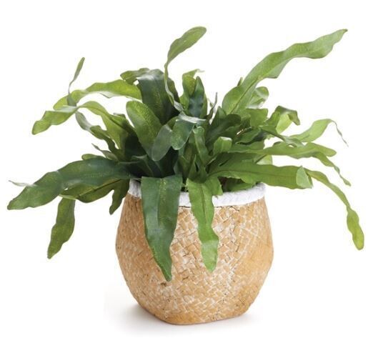 Basketweave Drum Pot, Sm