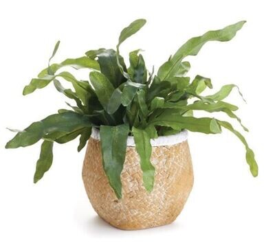 Basketweave Drum Pot, Sm