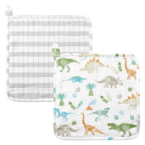 Muslin Washcloth Set Of 2, Dinosaur