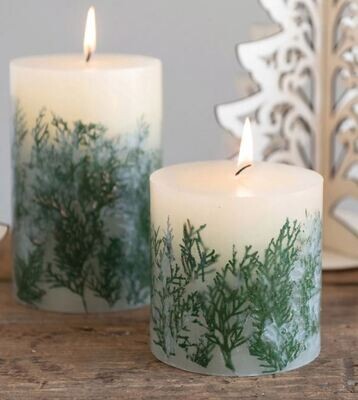 6" Fir Scented Pillar Candle