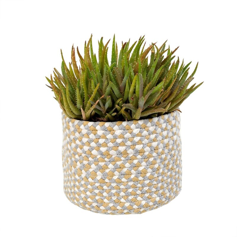 Chindi Weave Pot Olive