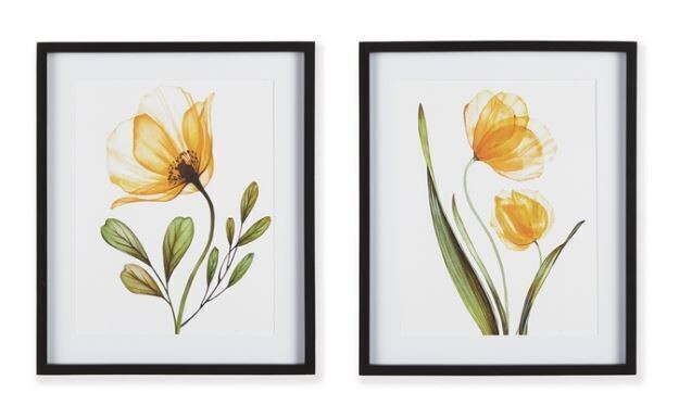 X-Ray Botanical Print