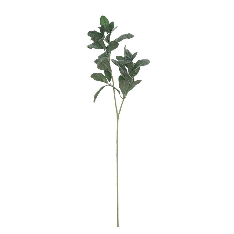 Lemon Tree Branch, 28"