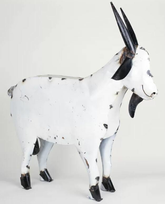 Rusty The Goat