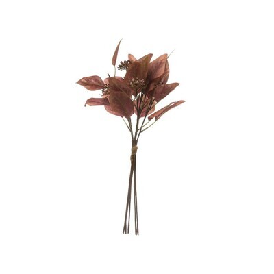 Red Leaf Eucalyptus Stem