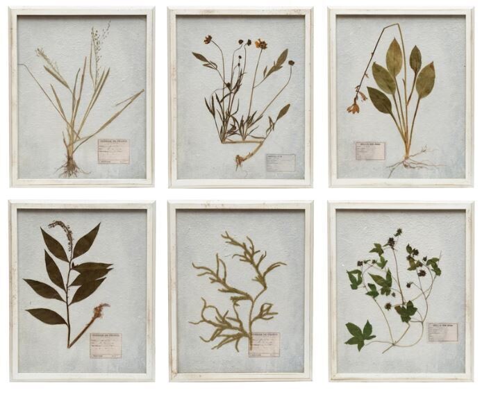 Dried Botanical Wall Art, White Frame