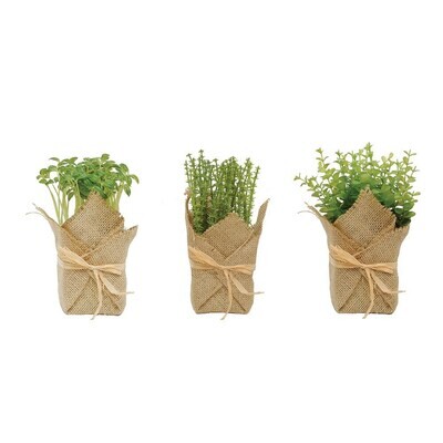 Burlap Wrapped Potted Herb