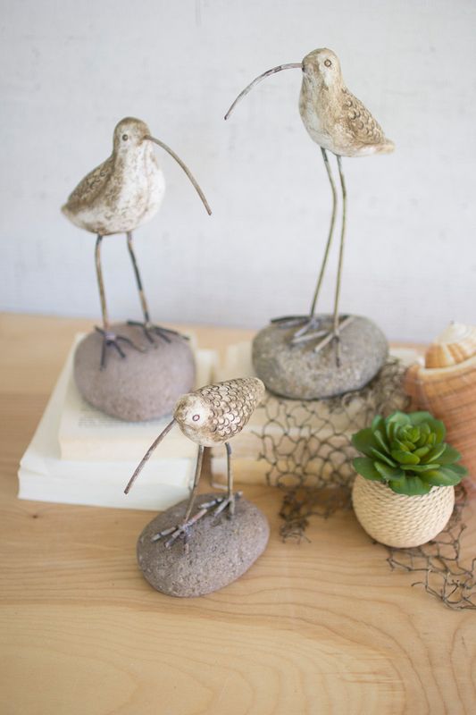 Shore Bird