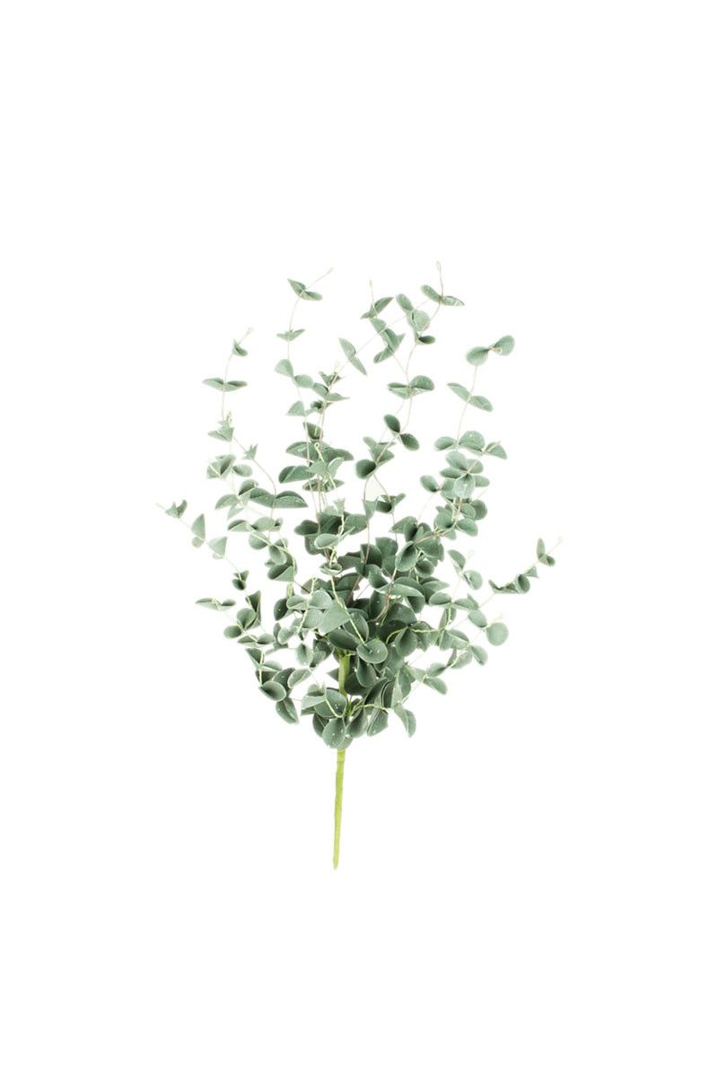 Eucalyptus Pick