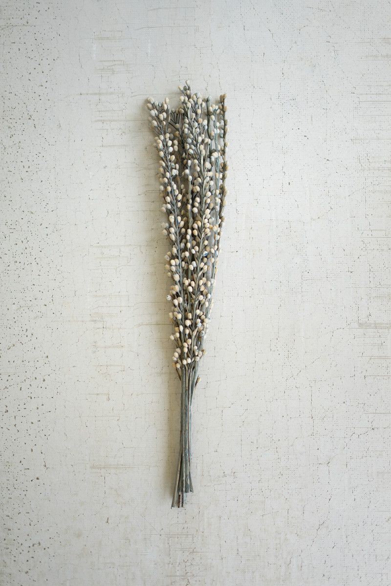 Dried Moti Stick Bundle