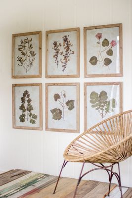Sienna Botanical Print