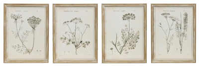 Antique Botanist Print