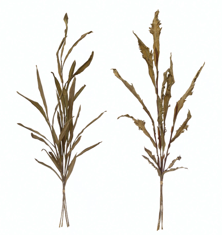 Tall Leaf Stem, Sage