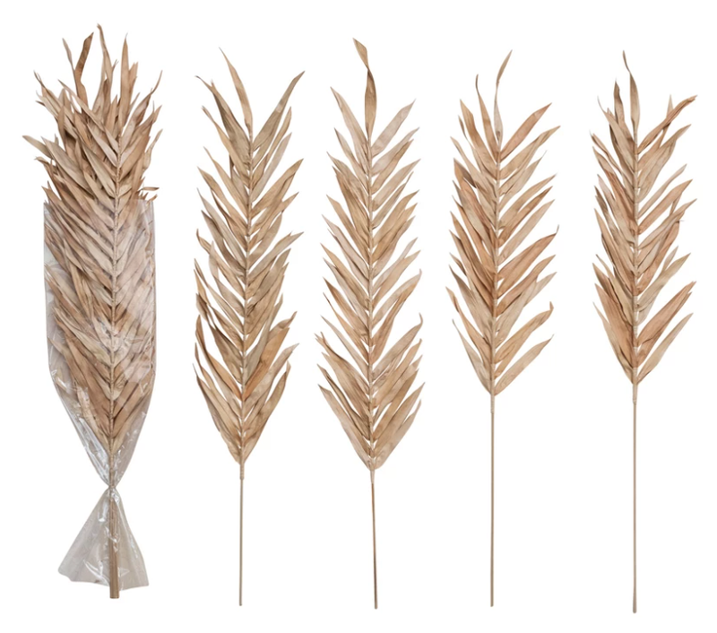 Dried Fountain Palm Bunch, Natural/Blush