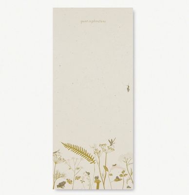 Notepad, Quiet Explorations