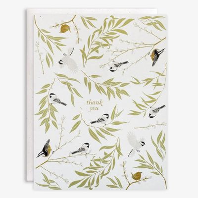 Boxed Set, Willow Thicket Thank You