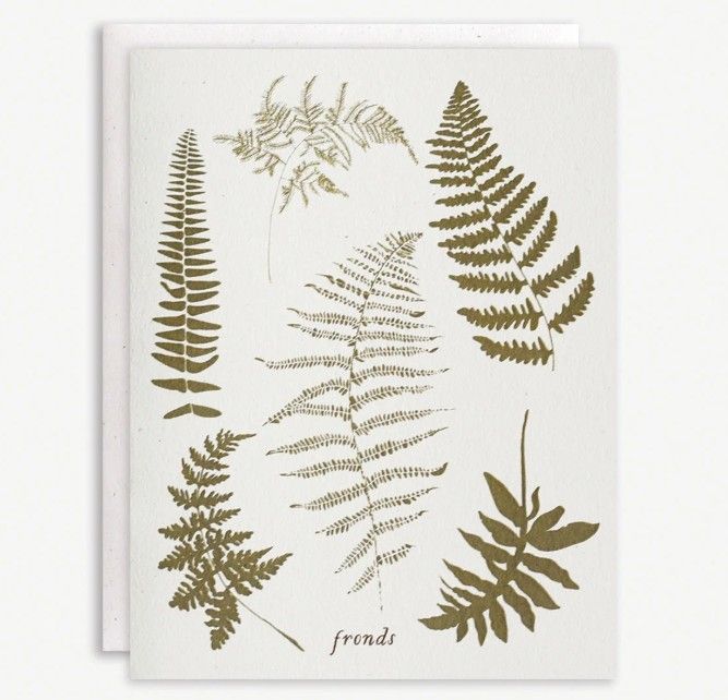 Boxed Set, Fronds