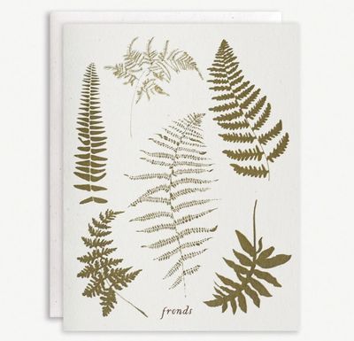 Boxed Set, Fronds