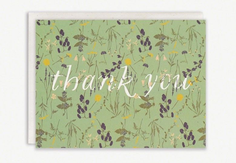 Boxed Set, Wild Thank You