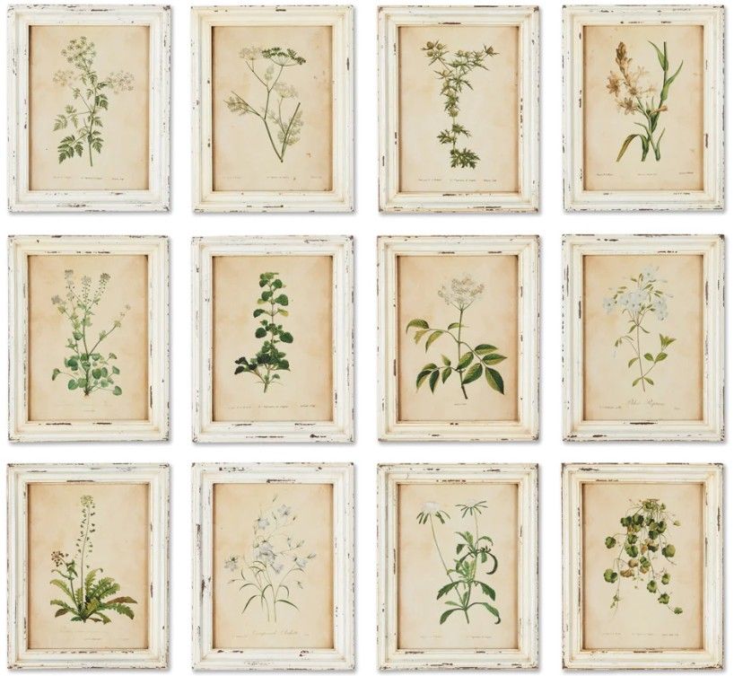 Wildflower Print