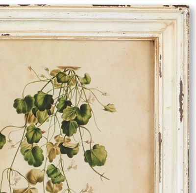 Wildflower Print