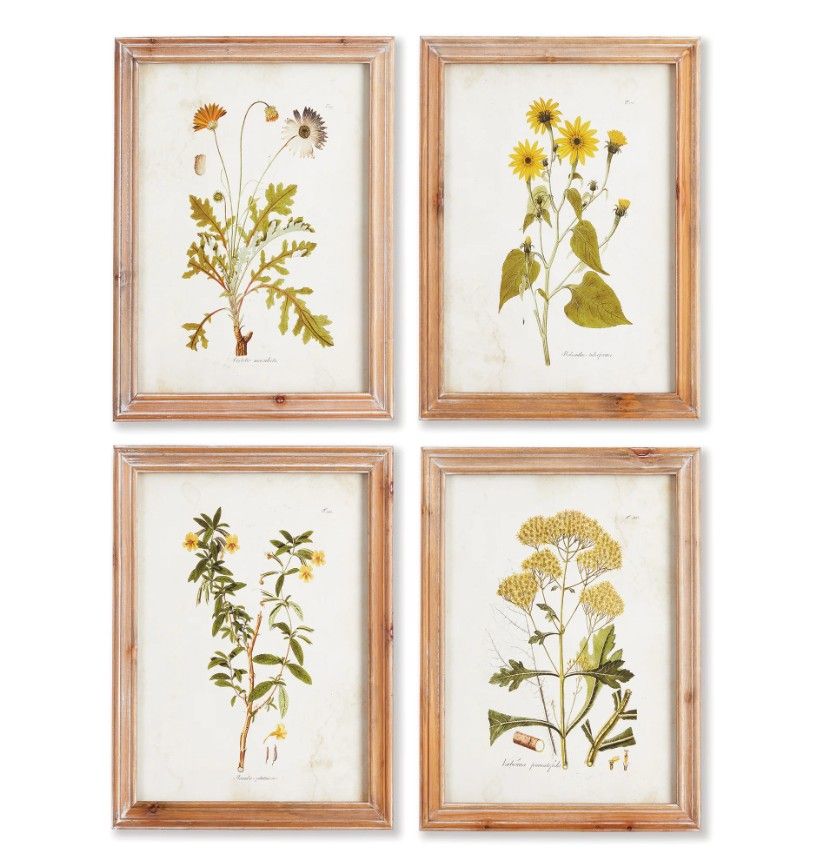 Golden Wildflower Study
