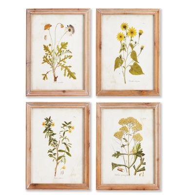 Golden Wildflower Study