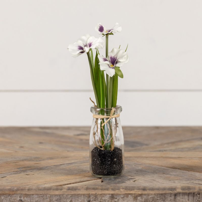 Mini Potted White Pansy In Bottle