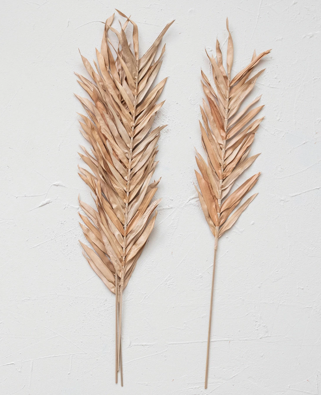 Dried Fountain Palm Bunch, Natural/Blush