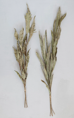 Tall Leaf Stem, Sage