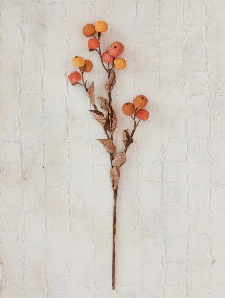 Mini Pumpkins Stem