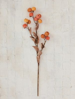 Mini Pumpkins Stem