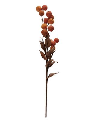 Mini Pumpkins Stem