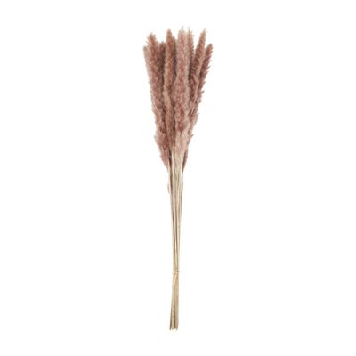 Taupe Pampas Grass