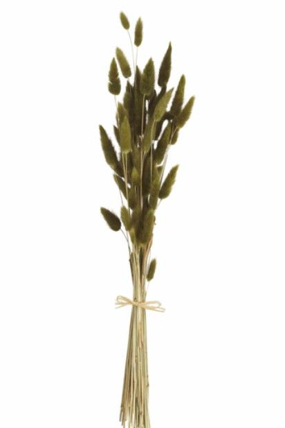 Dark Green Bunny Grass