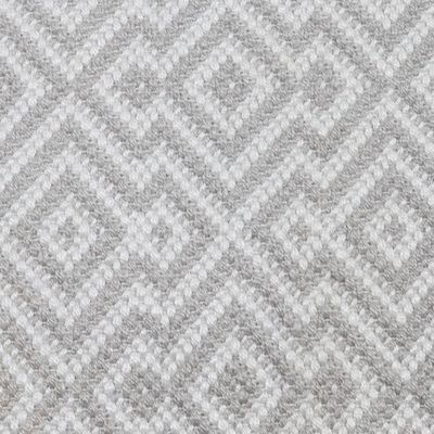 Jackson Rug, 2x3 Light Grey/White