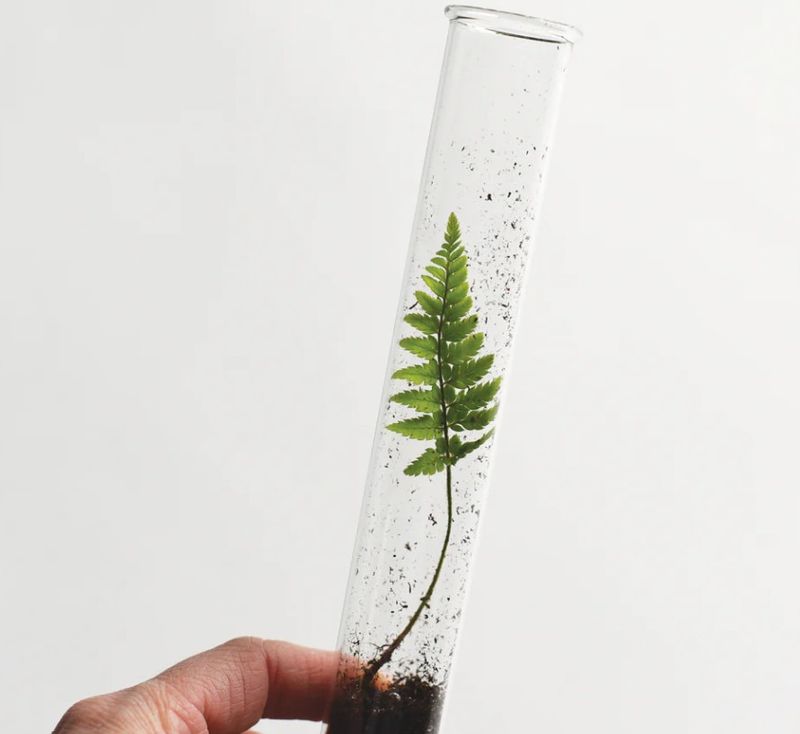 Pencil Terrarium, Garden Mix