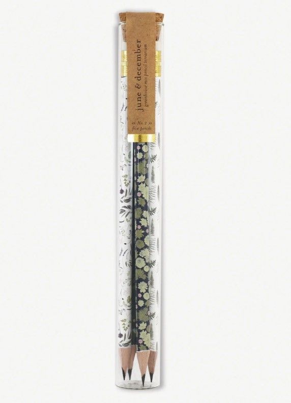 Pencil Terrarium, Greenhouse Mix