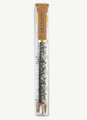 Pencil Terrarium, Greenhouse Mix