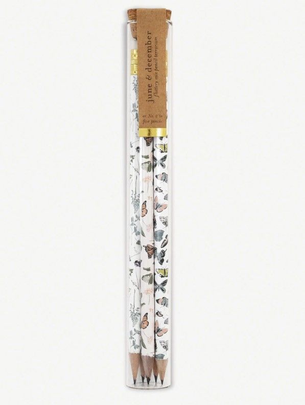Pencil Terrarium, Fluttery Mix
