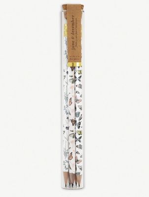 Pencil Terrarium, Fluttery Mix