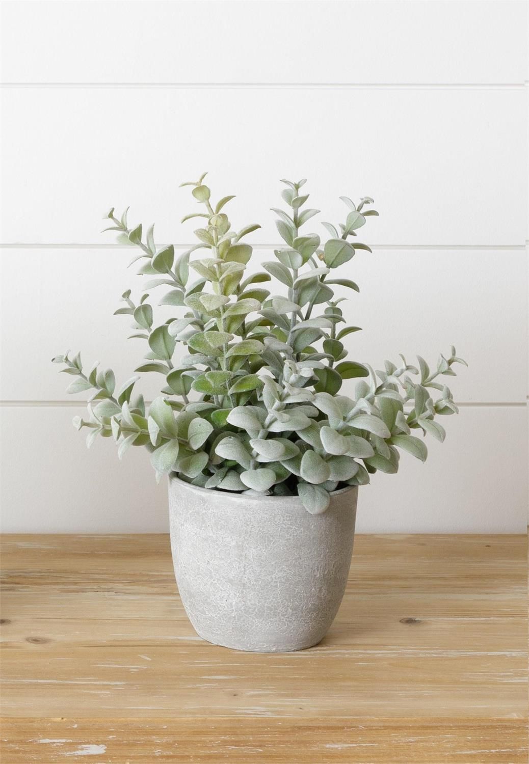 Faux Dusty Succulent
