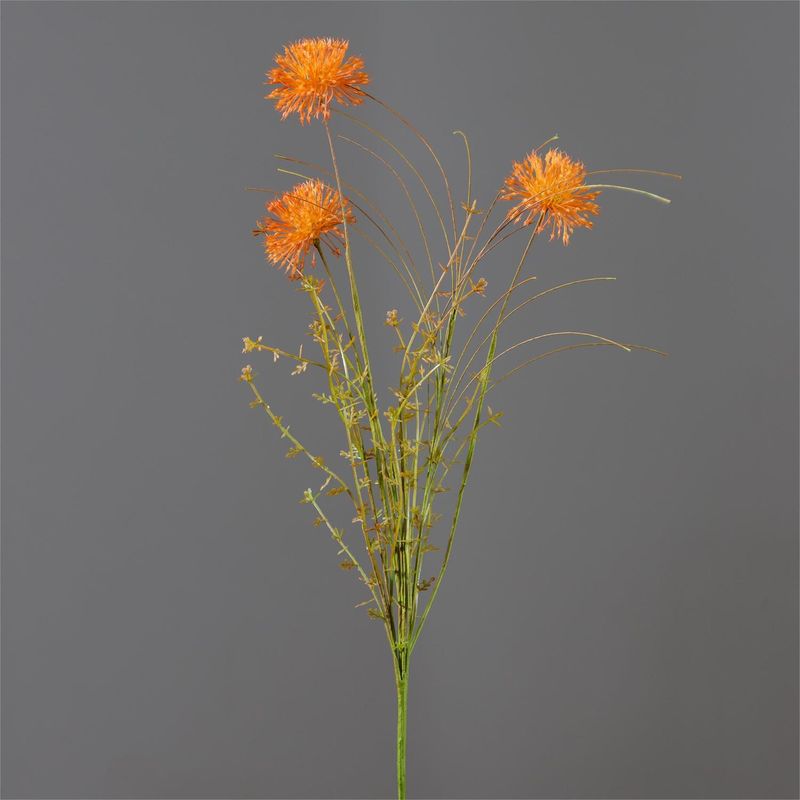 Rust Allium Branch