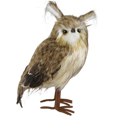 Large Owl