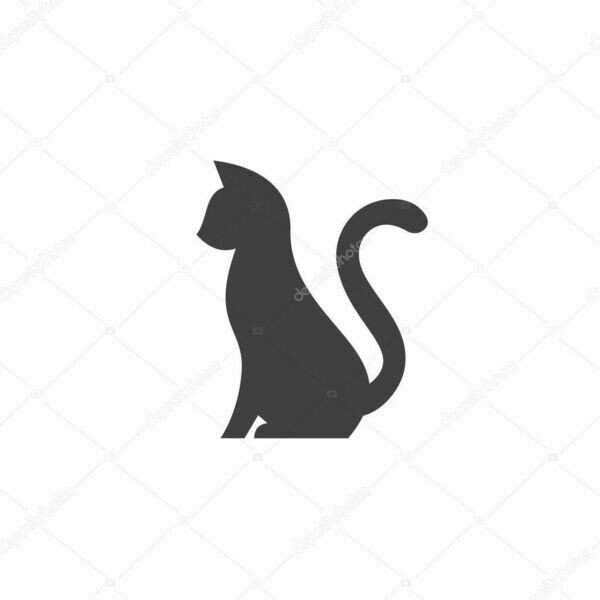 Serval And Savannah Kittens Shop