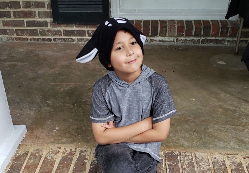 Super Smash Bros Brawl Kitty Hat