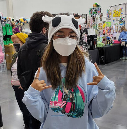 Hollow Knight Hat