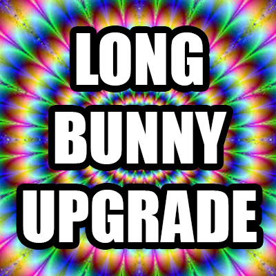 Make it a Long Bunny Hat