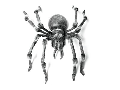 Aranha gigante 130cm